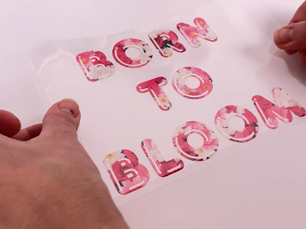 Born to bloom přenos